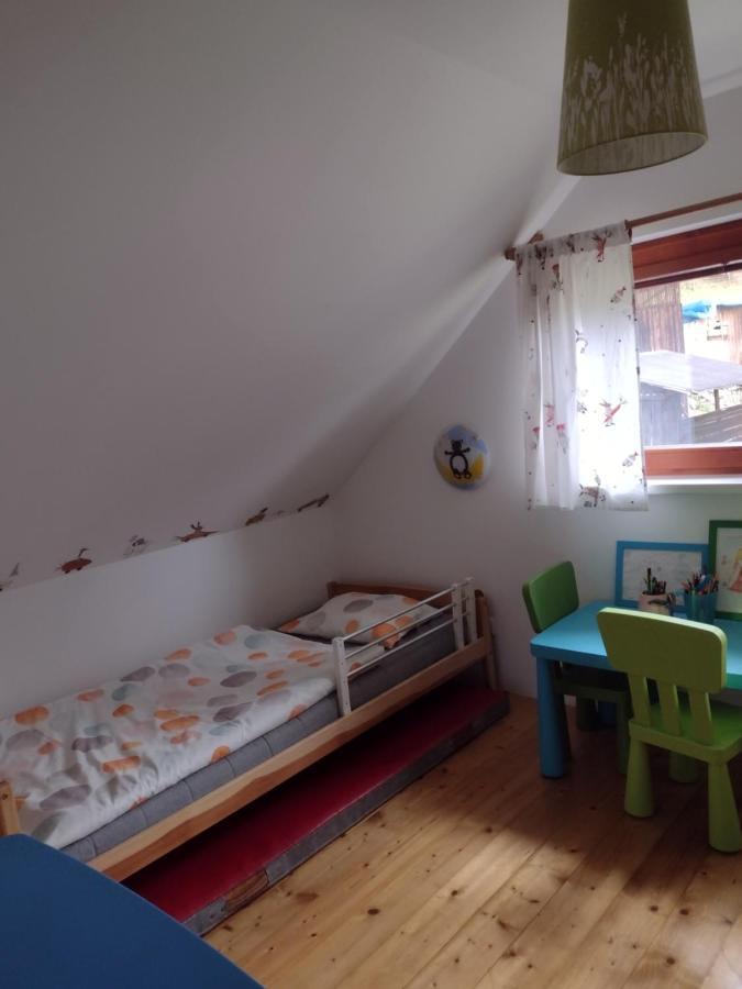 Chata Dvirka Zelezny Brod Luaran gambar